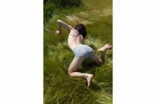Misha Davydov, Who Bent the Tall Grasses, 2023; Four archival pigment prints, dimensions variable. C