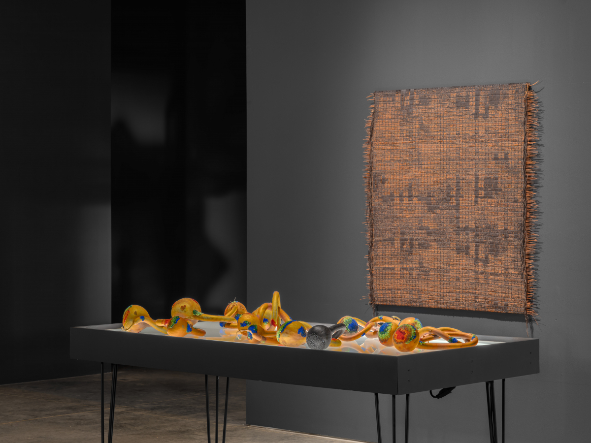Installation views of "Against Outer Space" at UCI Beall Center for Art + Technology. Photography by