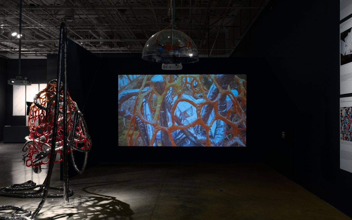 "Engaging the Margins” installation at UCI Beall Center for Art + Technology. Photos by Yubo Dong. 