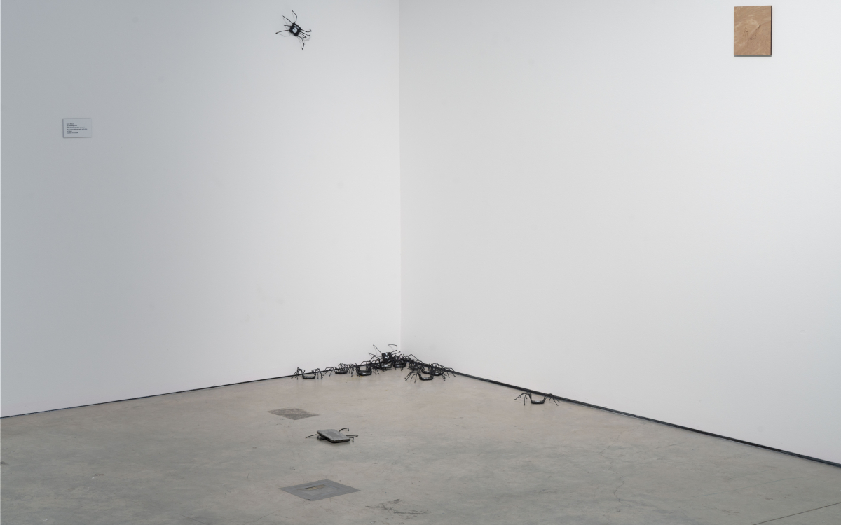 Installation shot of “Expanded Ecologies” at Beall Center for Art + Technology, UC Irvine. Courtesy of Beal Center for Art + Technology. Photo by ofstudio photography Installation shot of “Expanded Ecologies” at Beall Center for Art + Technology, UC Irvine. Courtesy