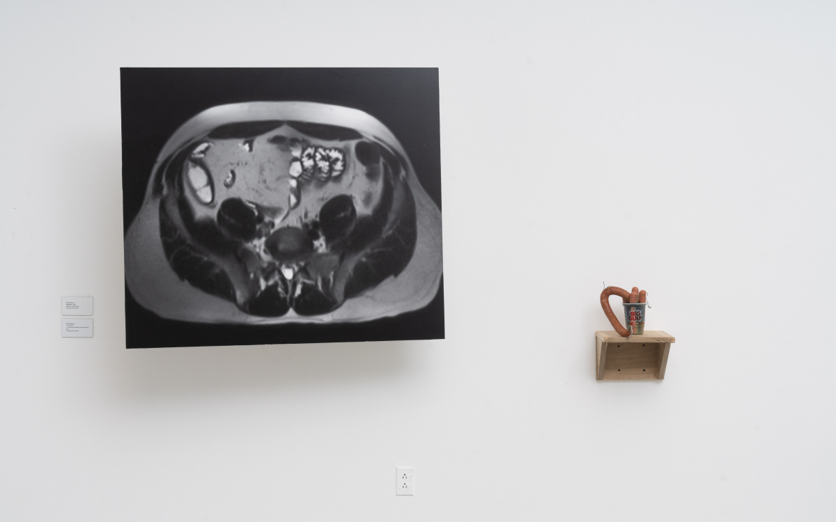 Installation shot of “Expanded Ecologies” at Beall Center for Art + Technology, UC Irvine. Courtesy of Beal Center for Art + Technology. Photo by ofstudio photography Installation shot of “Expanded Ecologies” at Beall Center for Art + Technology, UC Irvine. Courtesy