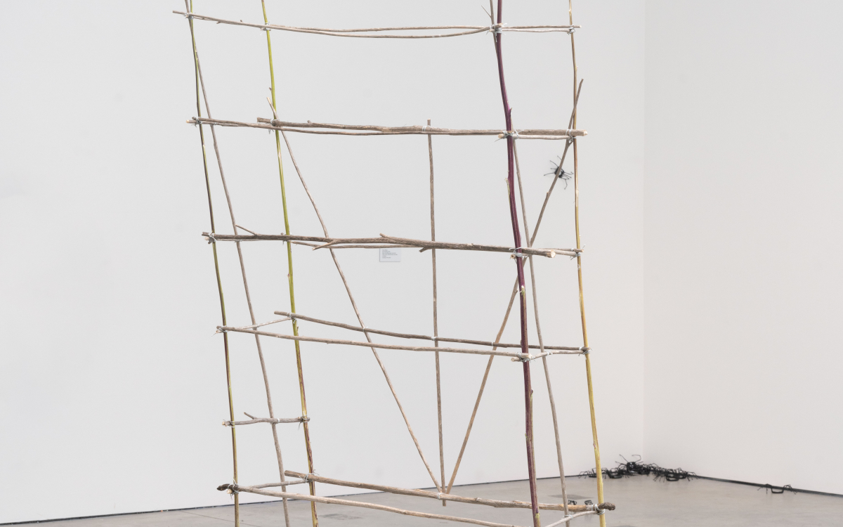 Installation shot of “Expanded Ecologies” at Beall Center for Art + Technology, UC Irvine. Courtesy of Beal Center for Art + Technology. Photo by ofstudio photography Installation shot of “Expanded Ecologies” at Beall Center for Art + Technology, UC Irvine. Courtesy