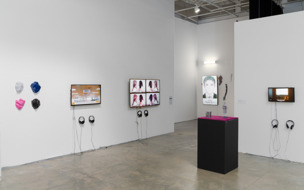 Difference Machines: Technology & Identity in Contemprary Art” at Beall Center for Art + Technology,