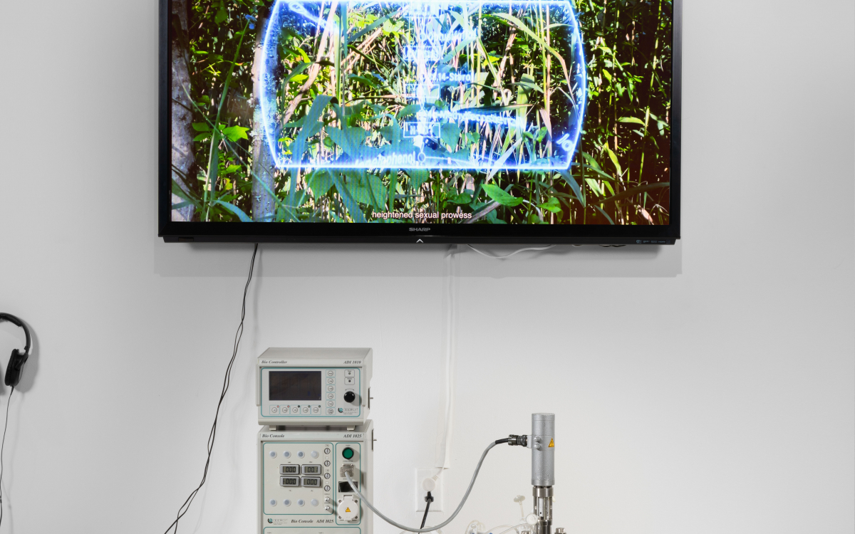 Difference Machines: Technology & Identity in Contemprary Art” at Beall Center for Art + Technology,