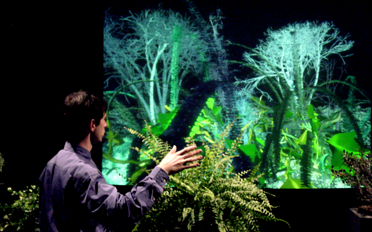 Interactive Plant Growing, 1992 / Installation View
