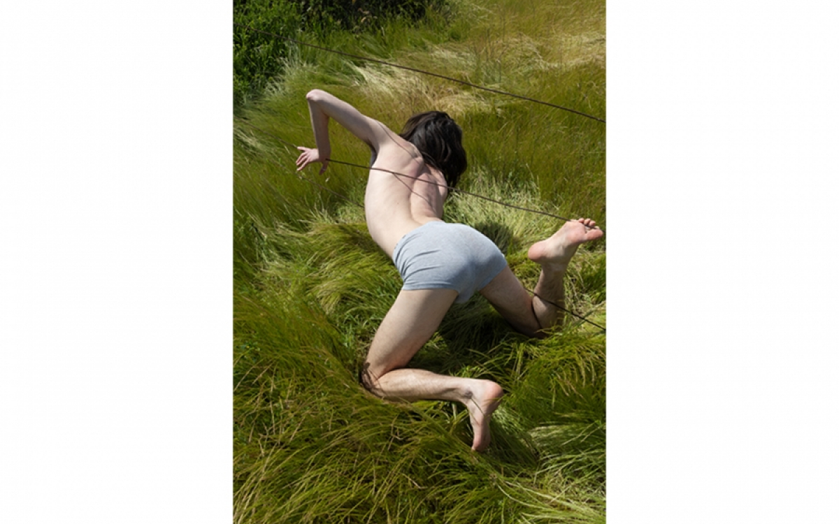 Misha Davydov, Who Bent the Tall Grasses, 2023; Four archival pigment prints, dimensions variable. Courtesy of the artist