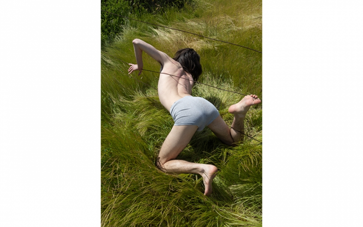 Misha Davydov, Who Bent the Tall Grasses, 2023; Four archival pigment prints, dimensions variable. Courtesy of the artist Misha Davydov, Who Bent the Tall Grasses, 2023; Four archival pigment prints, dimensions variable. C