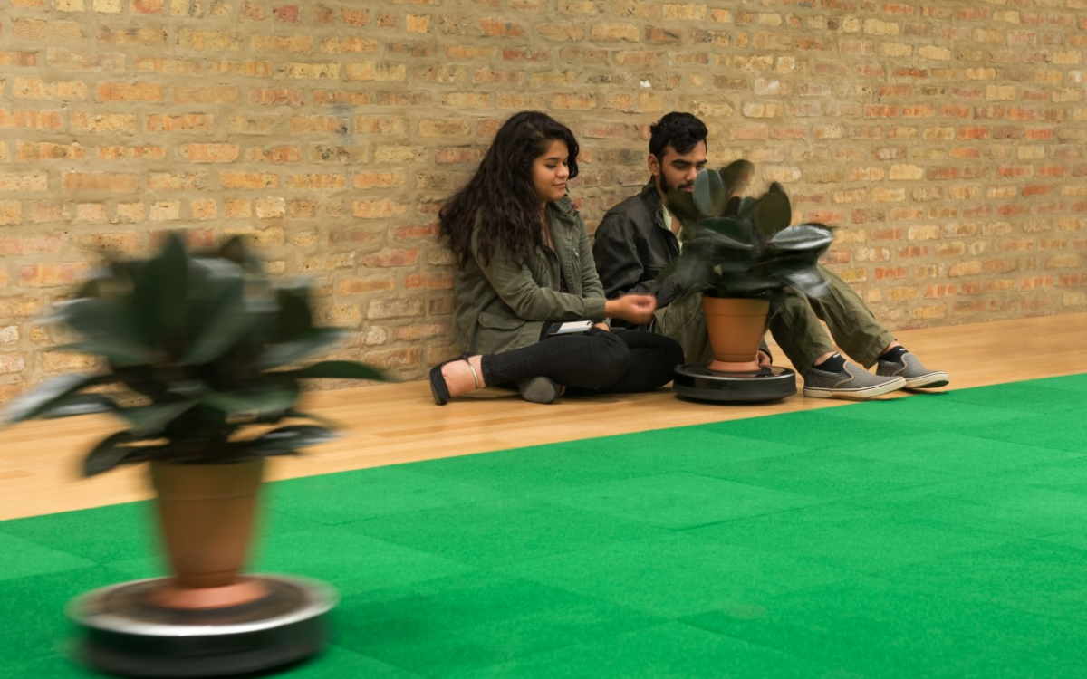Image: Katherine Behar, Roomba Rumba, 2015. Roombas, rubber tree plants, indoor/outdoor carpet tiles, sound. Variable dimensions. Photo: Soohyun Kim. Image courtesy of the artist.